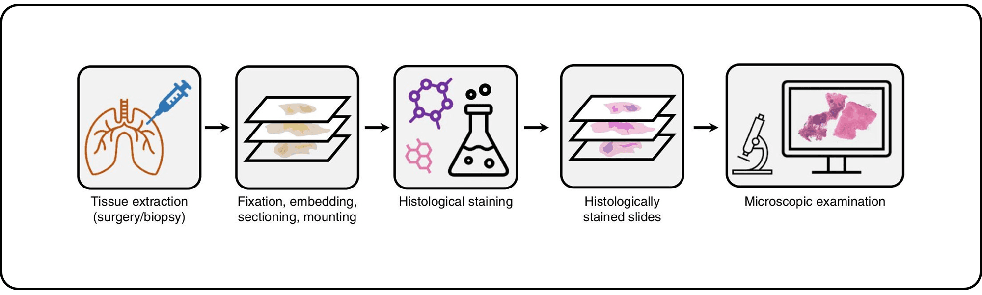 Traditional Skin Diagnosis